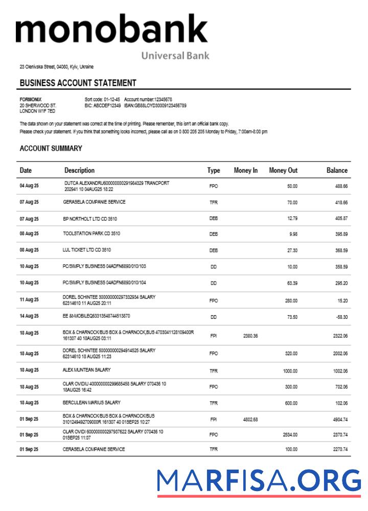 Blank Ukraine Monobank enterprise account statement Word and PDF template